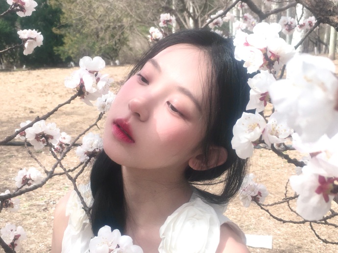 绝命毒师 封面