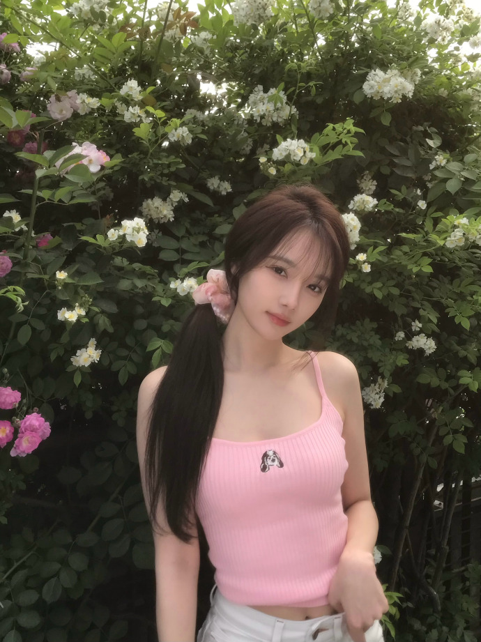 风骚律师 封面